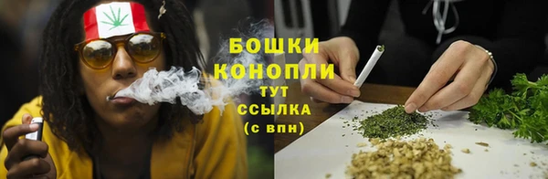 круглые Аркадак