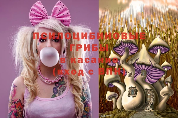 круглые Аркадак